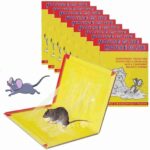 sticky-glue-pad-for-mouse-trap-insect-rodent-lizard-rat-traps-original-imag8awyahx9qzzj